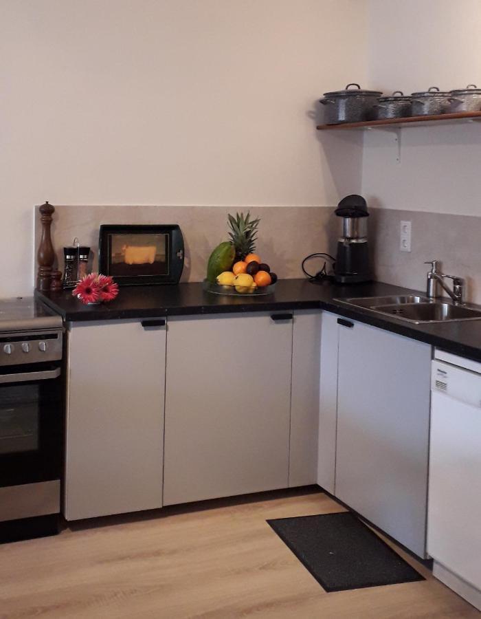 Ambiance Apartment Zierikzee Bagian luar foto
